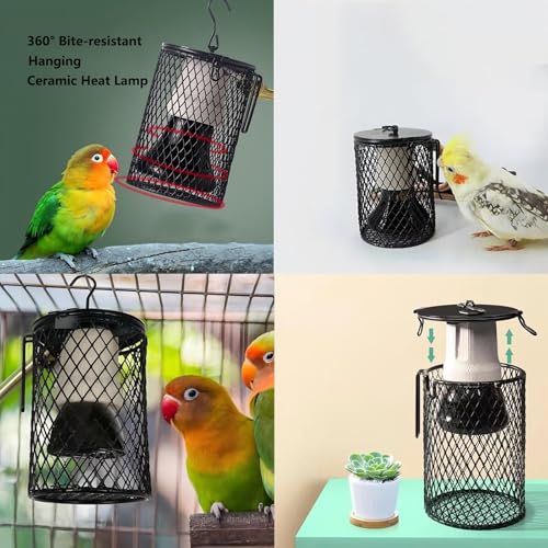 Playful Paws Ceramic Lamp and Lampshade Bird Heaters for Caged Birds with 50W Reptiles Heat Lamp Bird Warmer and Rabbit Hutch Heater (Timed Switch) - color: Timed Switch
