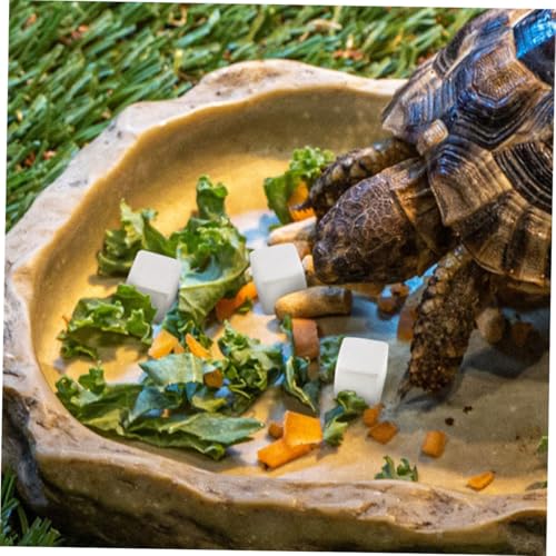 30pcs Natural Mineral Calcium Block for Reptiles and Amphibians Supports Growth and Dental Health for Tortoises Turtles Frogs Lizards Chameleons Provides Essential Trace Elements