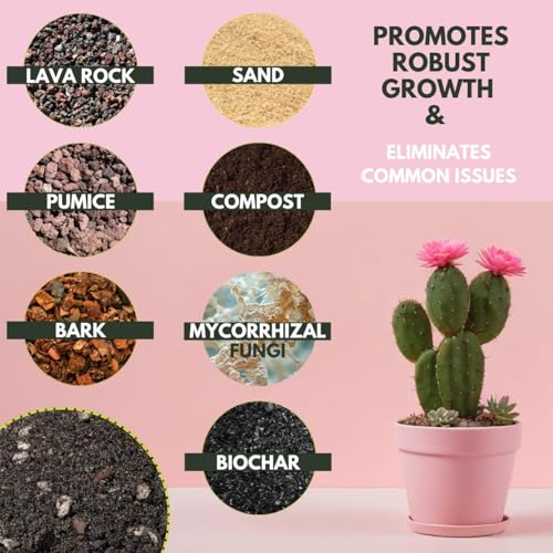 The Soil Sage 5 Dry Qt Cactus & Succulent Potting Soil Mix, USA Made - Gritty, Fast Draining, Soilless, Root Boosting, Peat-Free - Growth of Cactus, Succulents, Jade, Aloe Vera (5 Qt) - size: 5 Qt