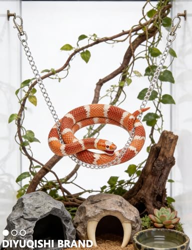 2-Pack Snake Climbing Ring and Chain, Acrylic Ball Python Enrichment Toy | Scratch-Free, Scale-Safe Construction
