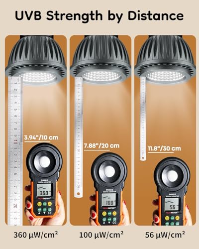 Pawfly UVB Light for Reptiles, 3 W 10.0 UVB Bulb, Desert Reptile UVA UVB Lamp for Calcium & Vitamin D3 Synthesis, High Intensity LED Lamp for Bearded Dragon, Tortoise & Lizard - size: 3 W 10.0 UVB
