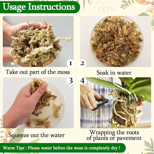 Legigo 3.5oz Sphagnum Moss for Plants, 4QT Orchid Moss Potting Mix | Long Fiber Sphagnum Moss Dried for Plants Indoor, Orchid Repotting, Succulent, Carnivorous Plants, Terrarium and Reptiles - size: 3.5oz