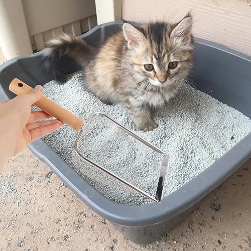 Kisangel Pet Reptile Litter Scoop Waste Shovel for Cleaning Reptile Litter Compact Design for Corners for Turtles Lizards Geckos and Snakes