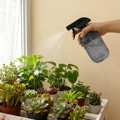 YYTSGG Glass Plant Mister Bottle, 15oz Refillable Water Spray Bottle with Adjustable Mist Nozzle for Indoor Flowers, Outdoor Gardening, Cleaning, Hair and Pets Care (Gray) - color: Gray