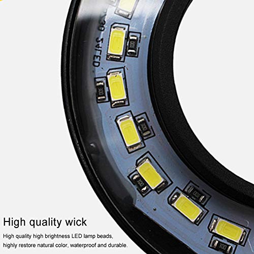 Full Spectrum LED Aquarium Light, 360-degree Adjustable LED Light with Bamboo Board, Miniature Landscape USB Powered Lamp for Plant, Fish Tank, Potted Plants(Size:S) - size: S