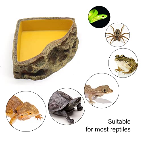 Reptile Feeder Resin Bowl Amphibian Reptile Bowl for Lizard Gecko Bearded Dragon Turtle
