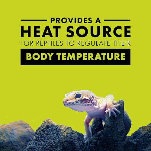 Zilla Reptile Terrarium Incandescent Heat Bulb, Day Blue, 75 Watts - size: 75 Watts, style: Day Blue