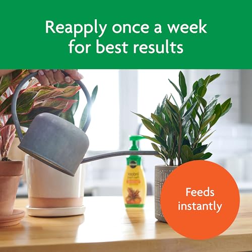 Houseplant Food, 8.4-oz. Pack of 3 - size: 3 Pack