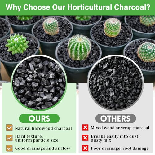 Legigo 12QT All Natural Horticultural Charcoal- Activated Hardwood Plant Charcoal for Soil Amendment, Conditioning Bonsai Soil, Succulent, Terrarium Supplies, Indoor Plant Potting Soil - color: 12 QT