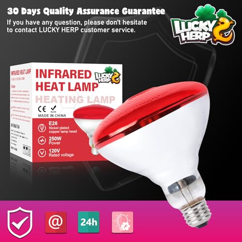 LUCKY HERP Infrared Heat Lamp for Chickens - 250 Watts Red Heat Lamp Bulb 1 Pack, Heat Light Bulb for Brooder Coop, Food Service, Chicks, Pet, Reptile - style: 250 Watts 1 PACK