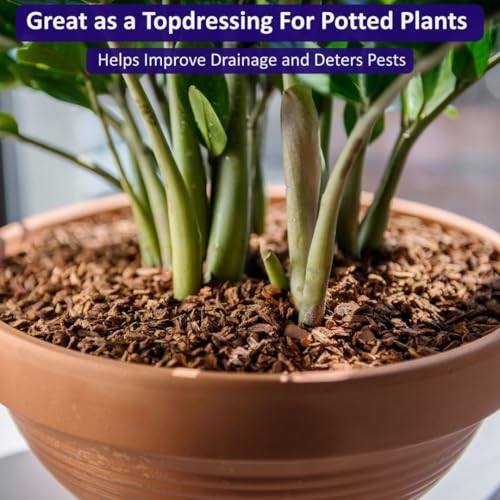 SuperMoss (23107) Orchid Potting Bark, 100% Natural White Fir Bark, 1/4", 1,560 Cu. in. - size: 1,560 Cu. In., style: 1/4"