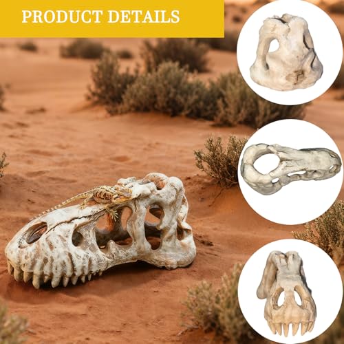 Dinosaur Skull Reptile Basking Platform, Resin Fish Tank & Terrarium Decor for Bearded Dragons, Lizards, Geckos - Aquarium Decor, Tarantula Hide Cave