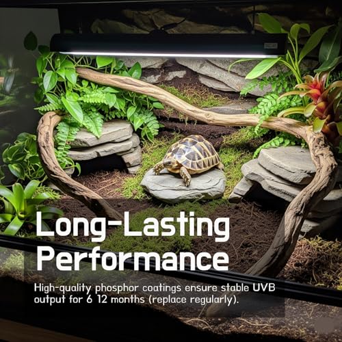 T5 HO UVB Reptile Light Kit – High-Output 24W 10.0 UVB for Reptiles – Liner UVB Light Ideal for Bearded Dragons, Tortoise & Lizard, T5 UVB Light Fixture and Bulb - size: 24W UVB10.0 T5 KIT