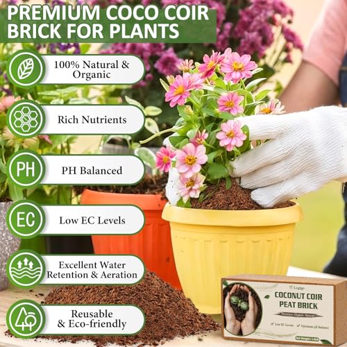 Legigo 6 Pack Premium Coco Coir Brick for Plants- 100% Organic Compressed Coconut Coir Bricks Starting Mix, Coco Coir Fiber Coconut Husk for Planting, Gardening, Potting Soil Substrate, Herbs - color: Pack of 6