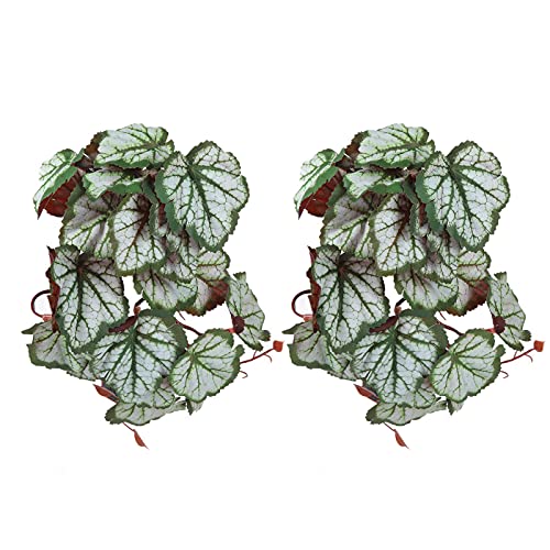 Artificial Reptile Plant, 2 Pack Plastic Simulation Vine with Suction Cup, Green Aquarium Fish Decoration
