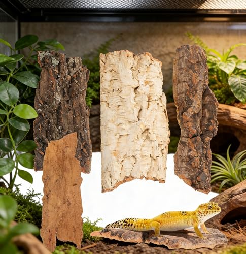 Cork Bark for Reptiles, 4PCS Cork Terrarium Background, Pet Reptile Bark Bearded Dragon Tank Accessories for Bearded Dragon Lizard Geckos Tortoise, 3.2 to 5.5Inch