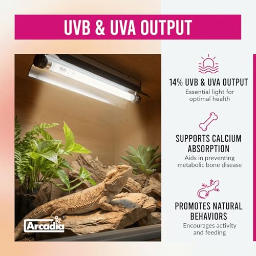 Arcadia Pro T5 UVB Kit Dragon 14% UV-B, 34” (39W) - High Output Reptile Light with Reflector, Fittings & Link Cable, UVB for Forest, Tropical & Arboreal Species, Full-Spectrum Lighting for Vivariums