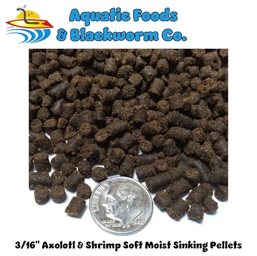 Axolotl Food, 3/16" Soft Moist Sinking Pellets, Rangen's Salmon Meal Pellets for Medium & Adult Axolotl. Also Shrimp, Snails, Crabs, All Tropical Fish...11oz Small Jar | For Adult Axolotl, Also for Shrimp, Snails, Crabs, Crayfish, Bottom Tropical Fish - s