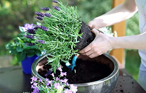Gardenera Premium Moisture Control Potting Mix - Get The Perfect Balance of Moisture and Nutrients for Your Plants! - 1 Quart - color: MOISTURE CONTROL MIX, size: 1 Quart