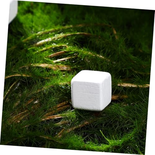 30pcs Natural Mineral Calcium Block for Reptiles and Amphibians Supports Growth and Dental Health for Tortoises Turtles Frogs Lizards Chameleons Provides Essential Trace Elements