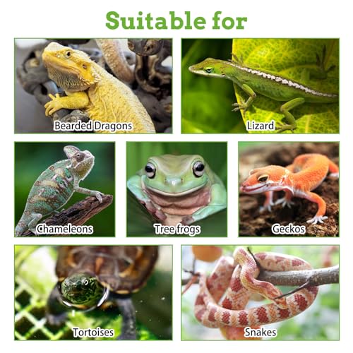 PINVNBY 2 Pack Reptile Plants Terrarium Hanging Fake Vines with Suction Cup Artificial Leaves for Bearded Dragons Lizards Geckos Snake Hermit Crab (Purple and Green) - color: 2 Pcs ( Green and Purple )