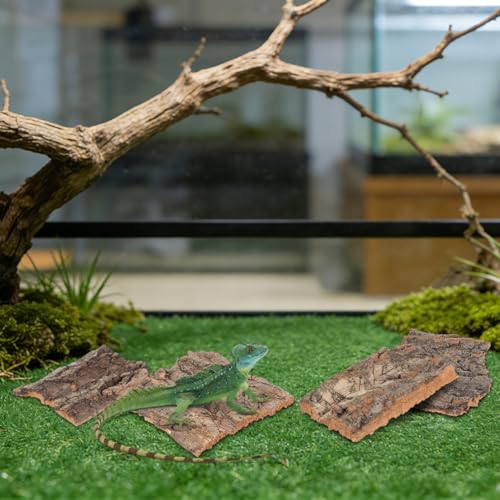 NUOBESTY 4Pcs Reptile Bark Climbing Platform Natural Tree Bark Reptile Decor for Snake Hide Lizard Terrarium Decor Small Pet Habitat Accessory 5.11 X 1.49 X 0.39 in