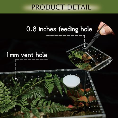 Acrylic Terrarium for Reptiles & Spiders – Small/Medium/Large Leak-Proof Enclosure (Horizontal/Vertical) | Ideal for Tarantulas, Jumping Spiders, Frogs & Geckos(Small, Vertical) - size: Small
