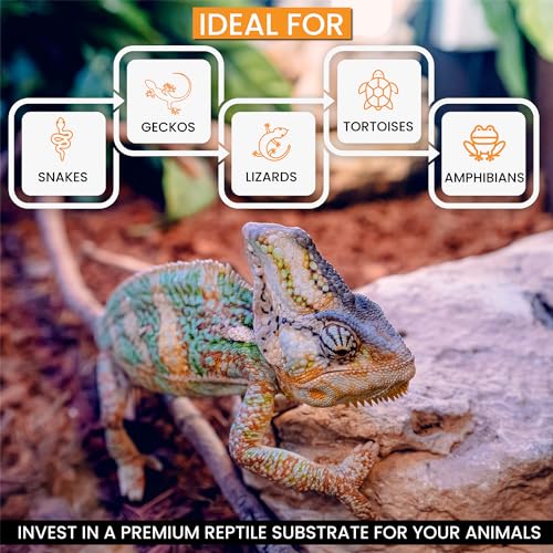 ReptiChip Reptile Substrate Coconut Chip Bedding 72 Quart Compressed Organic Coco Husk Block for Snake Habitat, Ball Python Terrarium, Turtle Tanks, Tortoise Enclosure - size: 1 Breeder Block