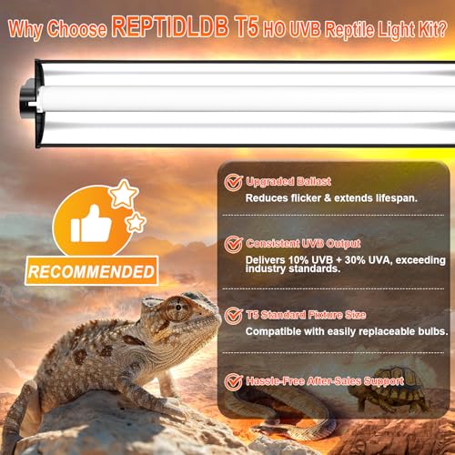 24W T5 UVB Reptile Light Fixture Combo Kit – 10.0 UVB Fluorescent Tube for Bearded Dragons, Lizards & Tortoises – UVA UVB Reptile Light, 22" Terrarium Hood (UVB 10.0-Desert, 22INCH-24W) - size: 24W-22 Inch-T5 Fixture