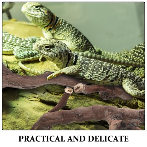 Toddmomy 2pcs Terrarium Wood Branches - Natural Climbing Platform for Reptile Habitat - Snake Tank Decorations Branch for Bearded Dragon, Gecko