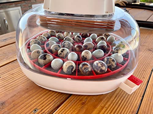 Generic 3D Printed Quail Egg Turner for Nurture Right 360 Incubator