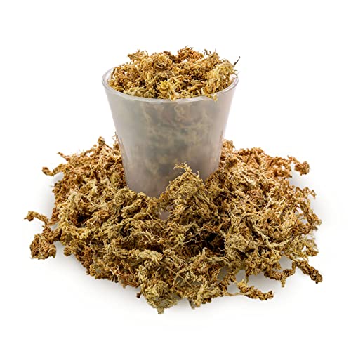 GARDENERA Premium Sphagnum Moss - Organic Hand Mixed New Zealand Long Fibered Sphagnum Moss Orchid - 5 Quart Bag - size: 5 QUART