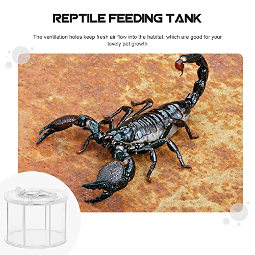 Box Insect Display Containers Reptiles Breeding Container Pet Supply Reptile -Escape Case Showing Case Clear Habitat Crawling Pet Holder Breeding Cage
