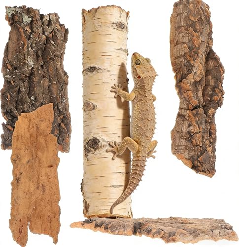 Cork Bark for Reptiles, 4PCS Cork Terrarium Background, Pet Reptile Bark Bearded Dragon Tank Accessories for Bearded Dragon Lizard Geckos Tortoise, 3.2 to 5.5Inch