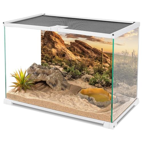 AWERT Reptile Habitat Background Blue Sky Oasis Cactus Sun and Desert Terrarium Background 30x12 inches Polyester Background - size: 30x12 inches