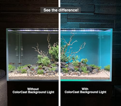 ColorCast Smart LED Aquarium Background Light Kit with Frosted Background Film | Smartphone and Voice Control | 24/7 Timers | Alexa and Google Home | for Aquariums, Terrariums and Vivariums | 18"-32" - size: 18" | 18" to 32"