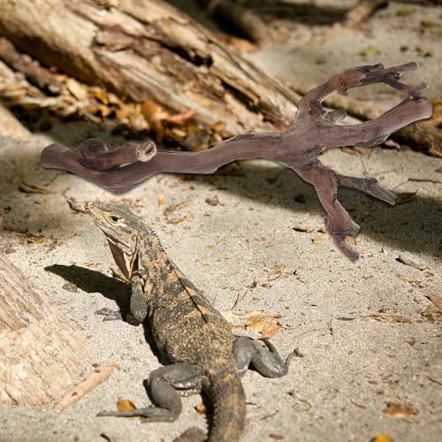 Toddmomy 2pcs Terrarium Wood Branches - Natural Climbing Platform for Reptile Habitat - Snake Tank Decorations Branch for Bearded Dragon, Gecko