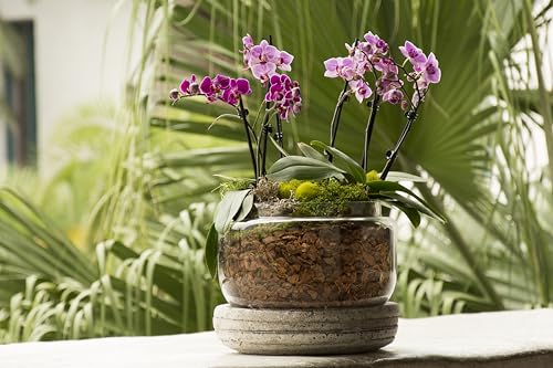 SuperMoss (23112) Orchid Potting Bark, 100% Natural White Fir Bark, 3/4", 2 Cu. Ft. - size: 3,456 Cu. In., style: 3/4"