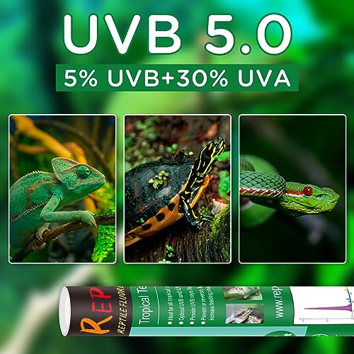 T8 UVB Reptile Light 15W 5.0-2 Pack,UVA UVB Light Bulb for Reptiles,Reptile UVB Lamp Tube for Bearded Dragon - size: 18inch-5.0
