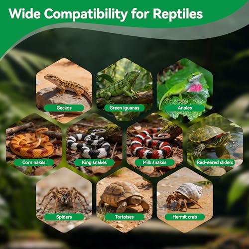 5 Pcs Organic Coconut Fiber Substrate, Biodegradable 100% Natural Coco Soil Brick, Multipurpose Eco-Friendly Terrarium Bedding for Reptiles, Tortoise, Bearded Dragon, Gecko, Snake & Amphibians - size: 5 Pcs