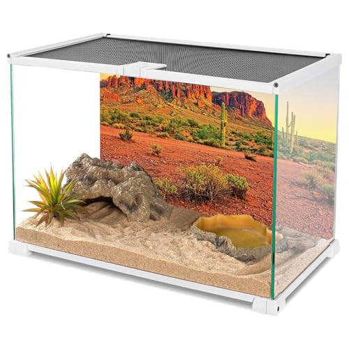 AWERT 30x18 inches Reptile Habitat Background Sky Oasis Mountain Cactus Sun and Desert Terrarium Background Durable Polyester Background - size: 30x18in/75x45cm