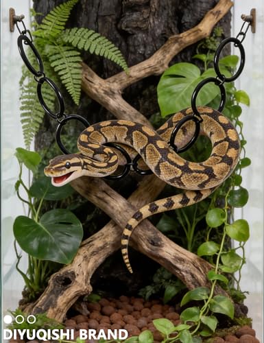 2-Pack Snake Climbing Ring and Chain, Acrylic Ball Python Enrichment Toy | Scratch-Free, Scale-Safe Construction