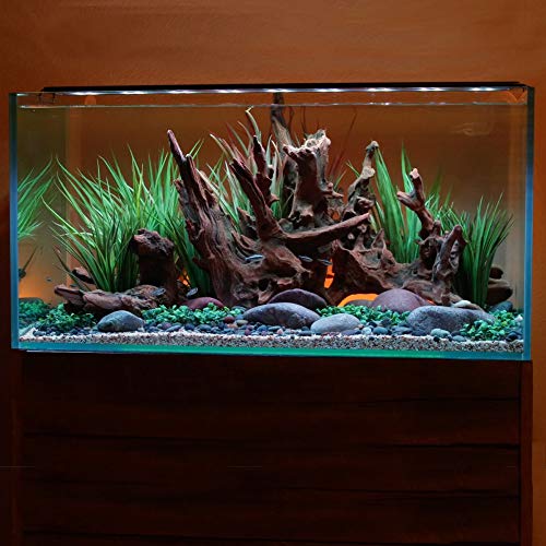 Current USA 24-36" Inch Satellite Freshwater LED Plus Full Spectrum RGB+W Light for Aquariums | Wireless 24 Hour Remote Control Fish Tank Lighting (4506) - size: 24-36 inch