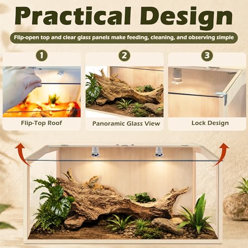 PROLEE Bearded Dragon Tank, Lizard Tank with Clear Tempered Glass, Anti-Scratch Reptile Enclosure, Reptile Tank Built-in Light Fixtures with Switch (32X16X16inch,34 Gallon) - color: Transparent Roof, size: 32X16X16inch,34 Gallons