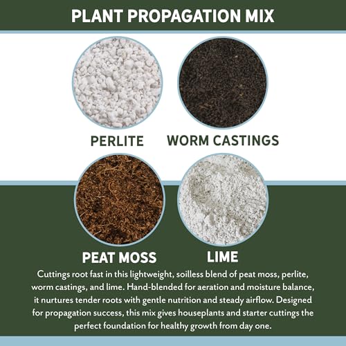 Planting Mix for Plant Propagation (4 Quarts), Hand Blended Soilless Mix for Propagating Plants, House Plants, and More - size: 4 Quarts