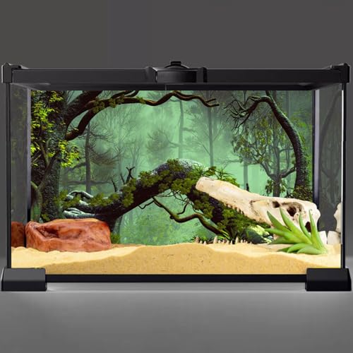 AWERT 36x18 inches Foggy Forest Terrarium Background Stone Green Tree Tropical Reptile Habitat Background Rainforest Aquarium Background Durable Polyester Background - size: 36x18in/90x45cm