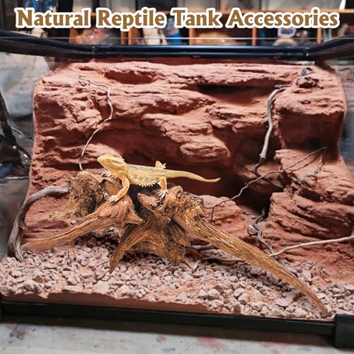 Hamiledyi 5 Pcs Reptile Plants Terrarium Hanging Fake Plant Leaves and Large Driftwood for Reptile Tank 11-16" Natural Bearded Dragon Wood for Ball Python Gecko Lizard Chameleon Iguana
