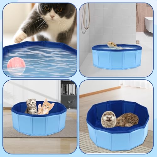 Foldable Bearded Dragon Bathtub, Bearded Dragon Pool, Bearded Dragon Bathtub with Soft Brush and Towel Set Reptile Accessories