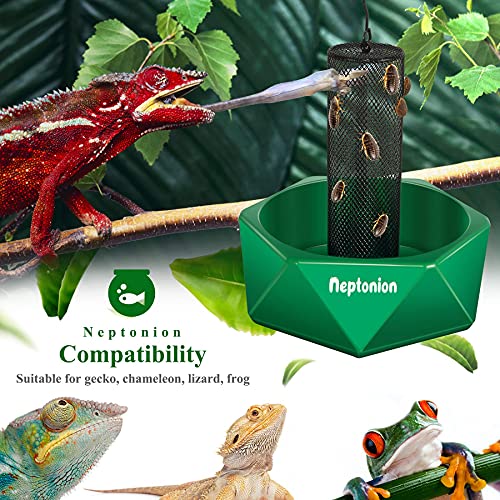 Chameleon Feeding Kit, Come with a Hookable Feeding Bowl and a Reptile Water Feeder, Perfect for Leaving Your pet Whilst on Vacation