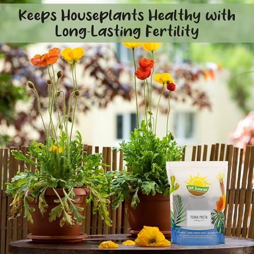 Soil Sunrise Terra-Preta Inspired Potting Soil (12 Quarts) Biochar-Enriched Sustainable Mix for Indoor/Outdoor Plants - size: 12 Quarts